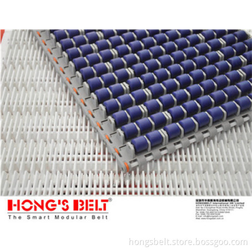 The Roller Packaging Industry Modular Conveyor Belt (HS-600C)